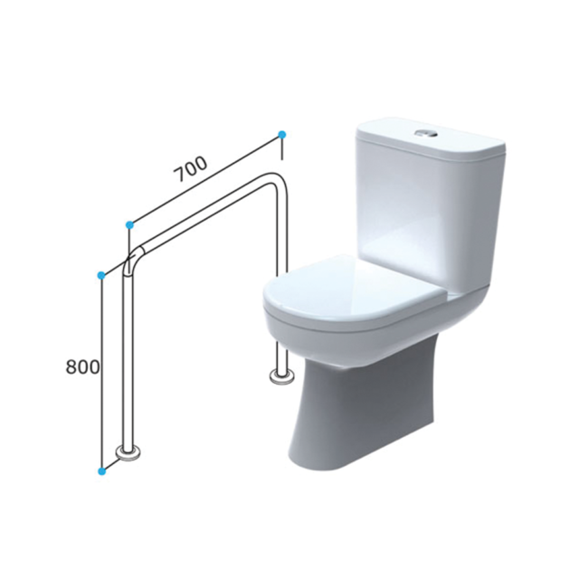 T5 – TOILET GRABRAIL – U Shaped Floor to Floor Support Rail Location Photo